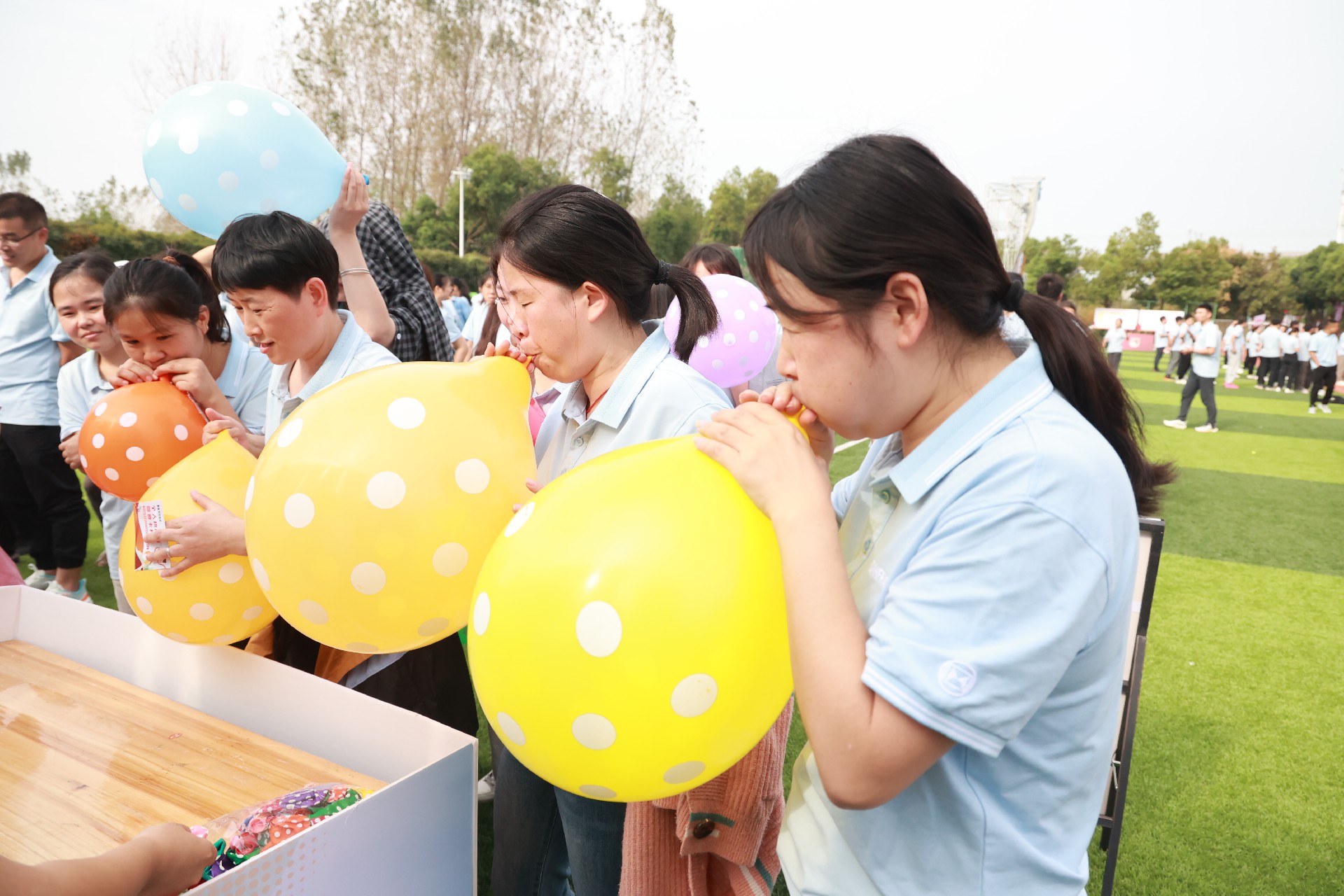 1728890902441641.jpg 1728890902441641.jpg